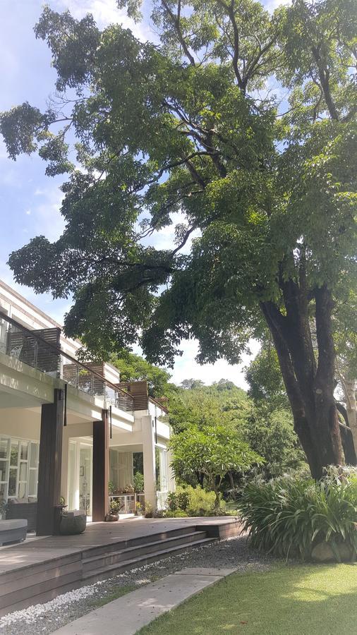 Around The Tree Manor Apartment Shitan Room photo
